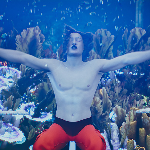 Metaverse User Guide - webseries - episode #04